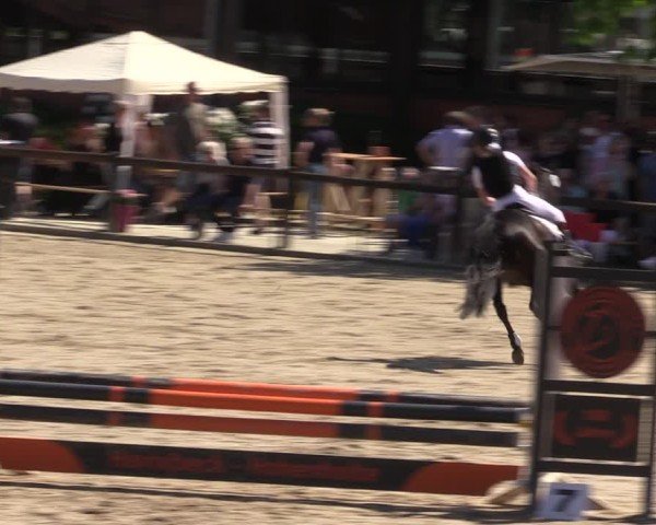 Reitturnier Havixbeck 2025