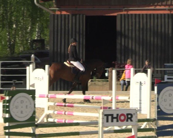 Reitturnier Uder, Reitanlage Kobold 2025