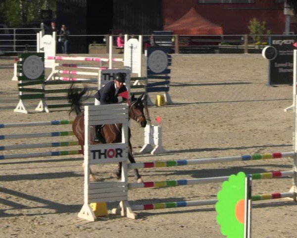 Reitturnier Uder, Reitanlage Kobold 2025