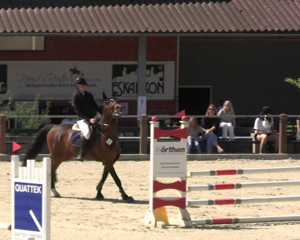 Reitturnier Uder, Reitanlage Kobold 2025
