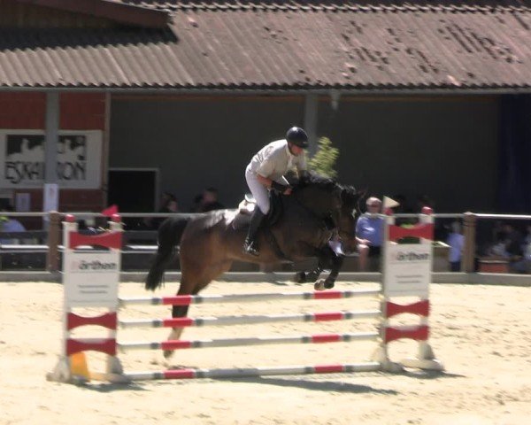 Reitturnier Uder, Reitanlage Kobold 2025