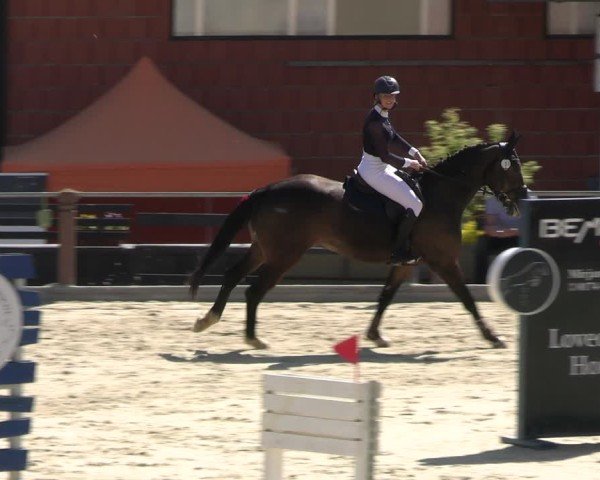 Reitturnier Uder, Reitanlage Kobold 2025