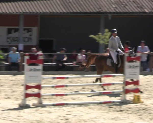 Reitturnier Uder, Reitanlage Kobold 2025