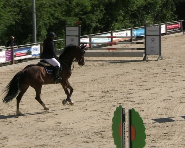 Reitturnier Uder, Reitanlage Kobold 2025
