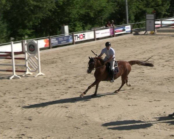 Reitturnier Uder, Reitanlage Kobold 2025