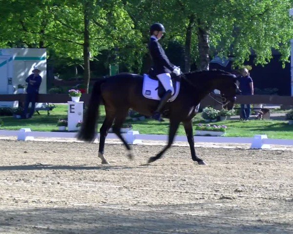Reitturnier Wesel-Obrighoven 2025