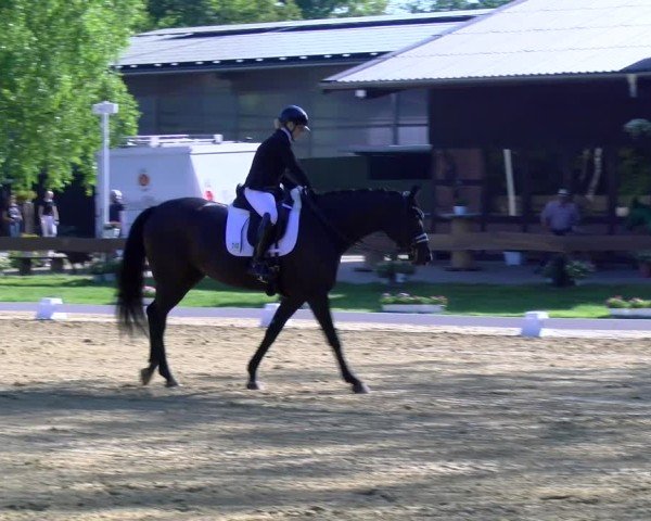Reitturnier Wesel-Obrighoven 2025