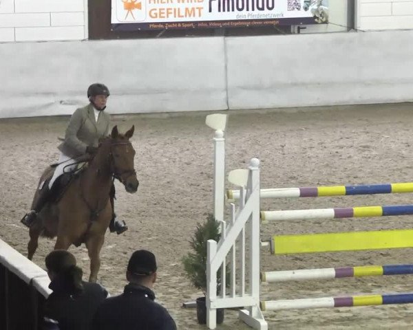 Late Entry Zweibrücken 2014