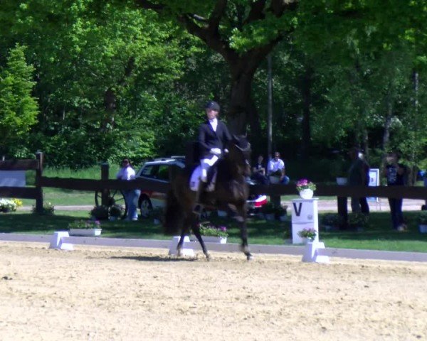 Reitturnier Wesel-Obrighoven 2025