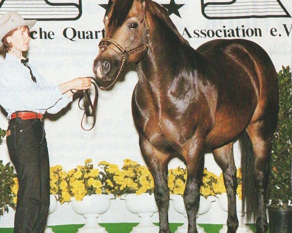horse Dears Little Wimpy (Quarter Horse,  , from Buckskin Dear)