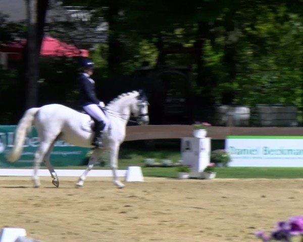 Reitturnier Wesel-Obrighoven 2025