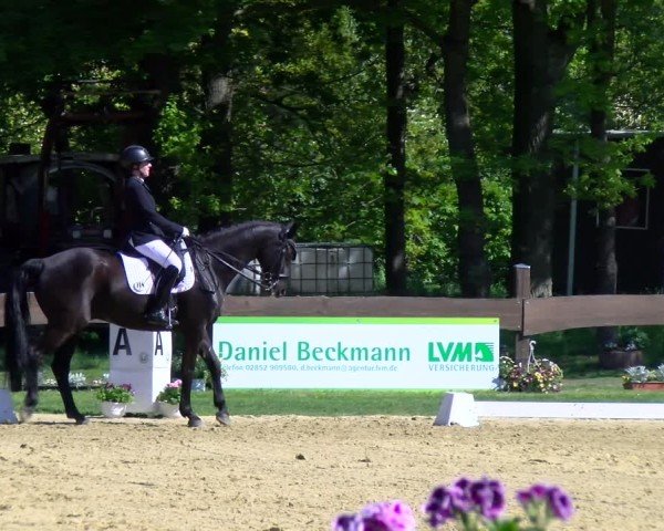 Reitturnier Wesel-Obrighoven 2025