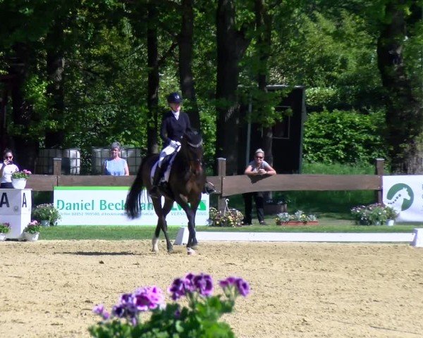 Reitturnier Wesel-Obrighoven 2025