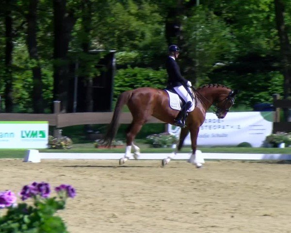 Reitturnier Wesel-Obrighoven 2025