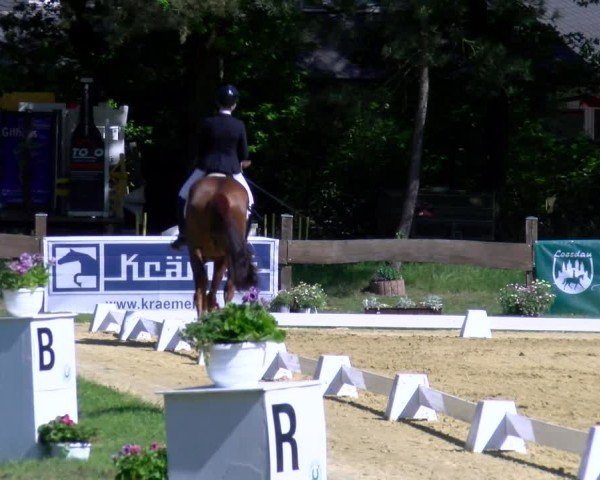 Reitturnier Wesel-Obrighoven 2025
