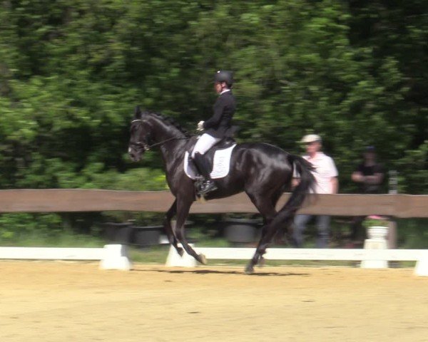 Reitturnier Wesel-Obrighoven 2025