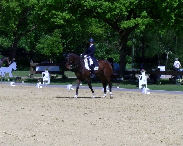 Reitturnier Wesel-Obrighoven 2025