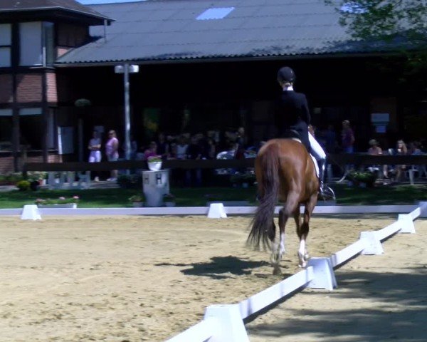 Reitturnier Wesel-Obrighoven 2025
