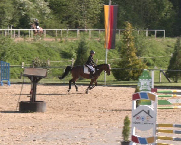 Reitturnier Büren 2025