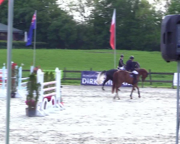 Reitturnier Looperholz 2025