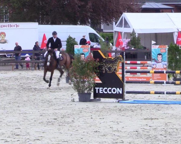Reitturnier Looperholz 2025