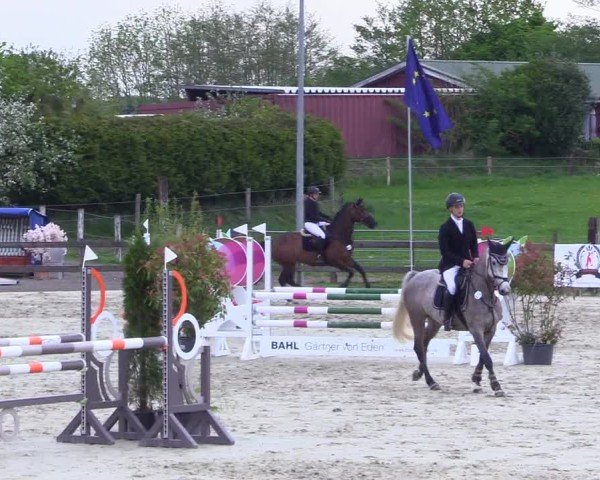 Reitturnier Looperholz 2025