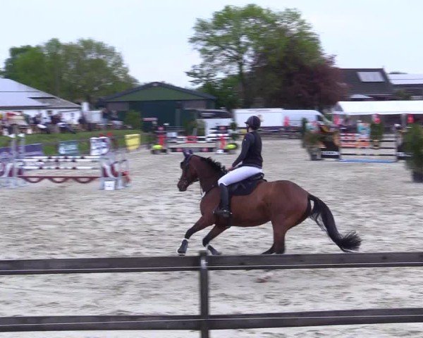 Reitturnier Looperholz 2025