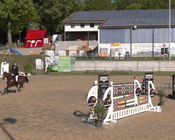 Reitturnier Büren 2025