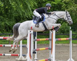 jumper Fita VA (Holsteiner, 2013, from Clarimo Ask)