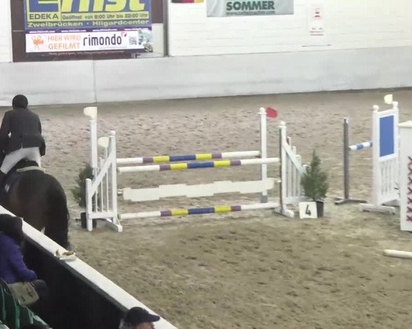Late Entry Zweibrücken 2014