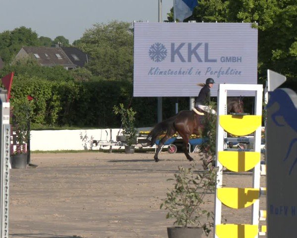 Reitturnier Neuss-Allerheiligen 2025