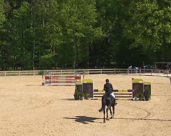 Reitturnier Tiefenhof/Opf. 2025