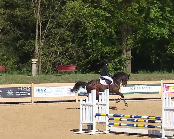 Reitturnier Tiefenhof/Opf. 2025
