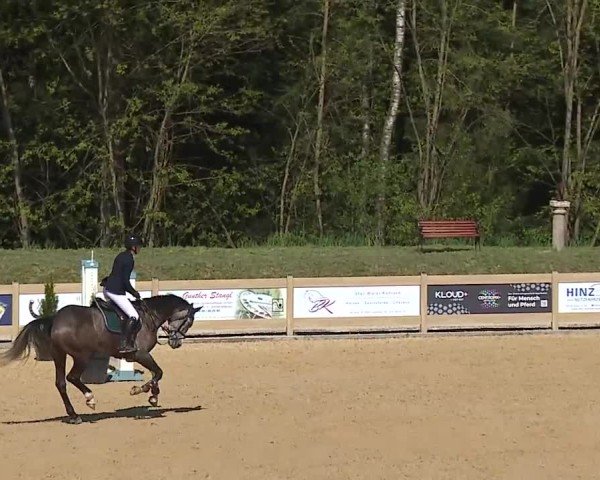 Reitturnier Tiefenhof/Opf. 2025