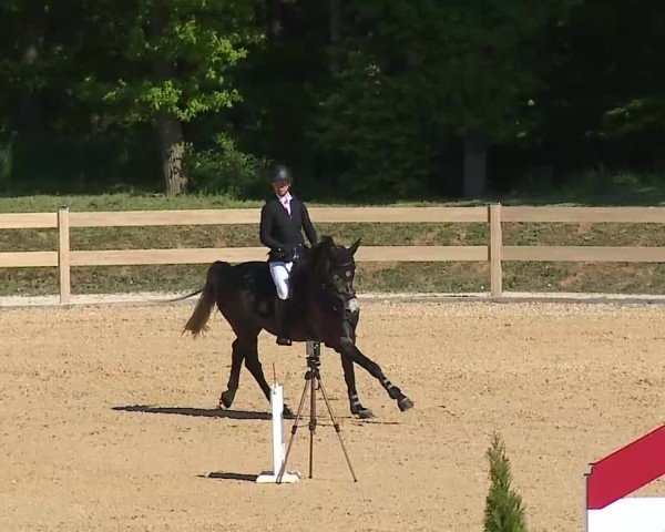 Reitturnier Tiefenhof/Opf. 2025