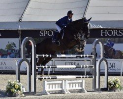 jumper Esprit de La Roque (KWPN (Royal Dutch Sporthorse), 2009, from Kannan)