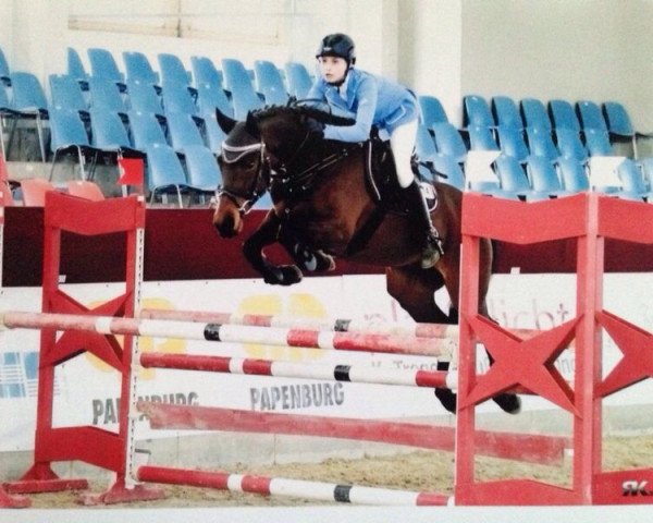 broodmare LLG Lulu (German Riding Pony, 2003, from Kaiserwinner)