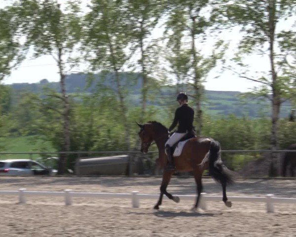 Reitturnier Landenhausen 2025