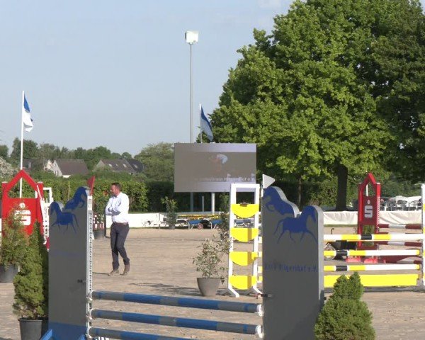 Reitturnier Neuss-Allerheiligen 2025