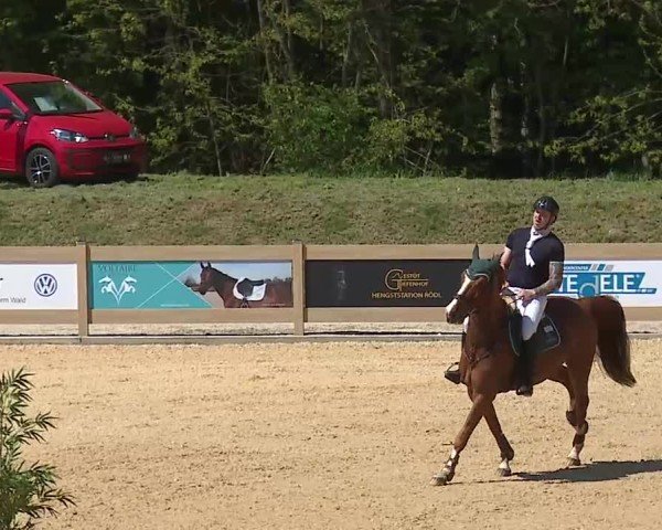 Reitturnier Tiefenhof/Opf. 2025