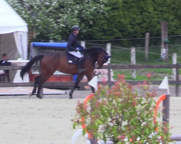 Reitturnier Looperholz 2025
