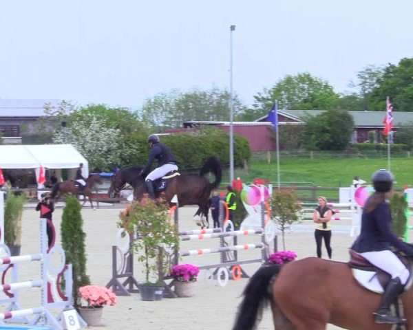 Reitturnier Looperholz 2025