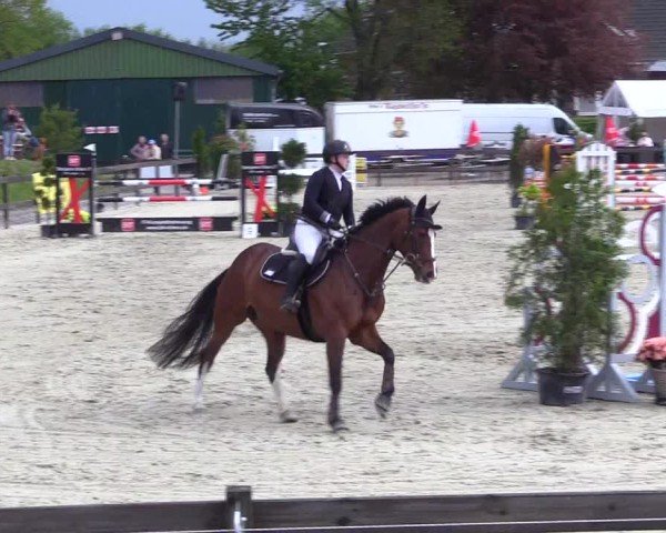 Reitturnier Looperholz 2025
