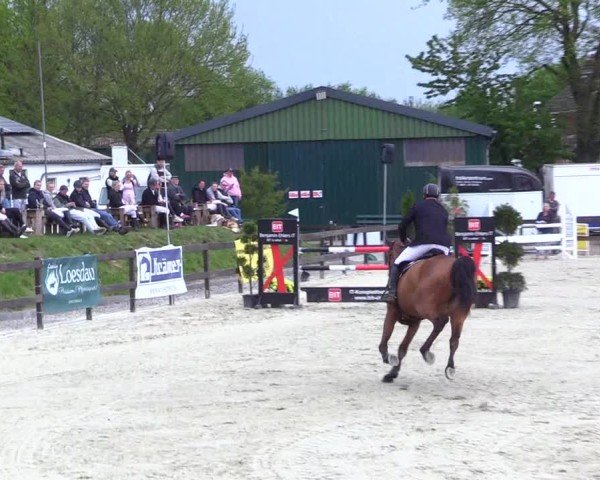 Reitturnier Looperholz 2025