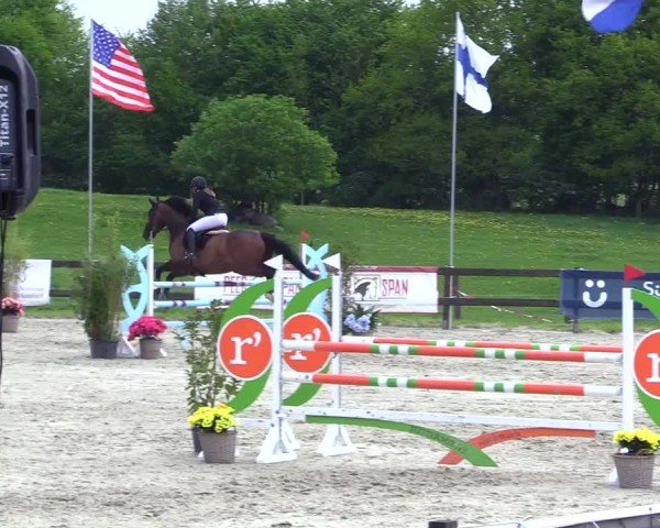 Reitturnier Looperholz 2025