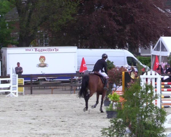 Reitturnier Looperholz 2025