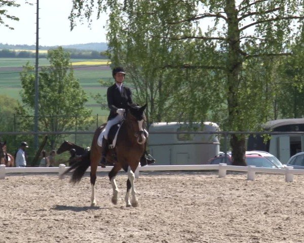 Reitturnier Landenhausen 2025