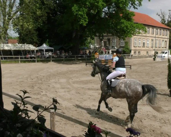 Reitturnier Hildesheim-Steuerwald 2025