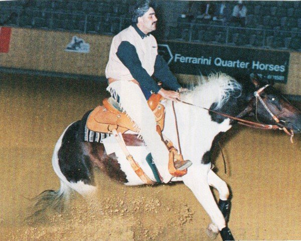 horse Chatto Pepsi Peper (Paint Horse, 1995, from Peps Amber Notice)