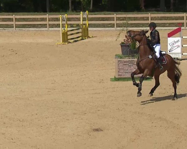 Reitturnier Tiefenhof/Opf. 2025